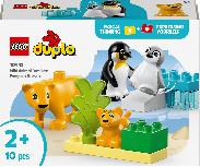 Konstruktorius LEGO® Duplo Laukinių gyvūnų šeimos: pingvinai ir liūtai 10442, 10 vnt.