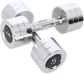 Svarmenų rinkinys HMS Chrome Dumbbells, 5 kg x 2 vnt.