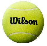 Teniso kamuoliukas Wilson Roland Garros 9 Jumbo WRT1419YD, geltonas