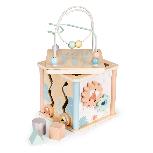 Lavinantis medinis kubas su žaidimais EcoToys, 31 cm, įvairių spalvų