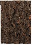 Terariumo fonas Repti Planet Background cork natural