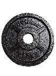 Diskinis svoris Outliner, 1.25 kg