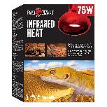 Terariumų lemputė Repti Planet Infrared Heat, 75 W