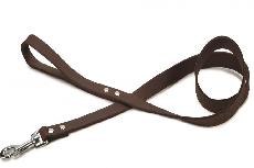 Pavadėlis Beeztees, rudas, 2 m x 20 mm