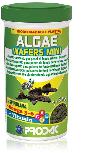 Maistas žuvims Prodac Algae Wafers Mini AWM100.1, 0.050 kg