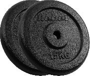 Diskinis svoris Rebel Active, 15 kg x 2 vnt.