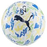 Futbolo kamuolys Puma Neymar Jr 08413901