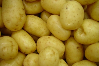 Вы уверены, что знаете все о картофеле?