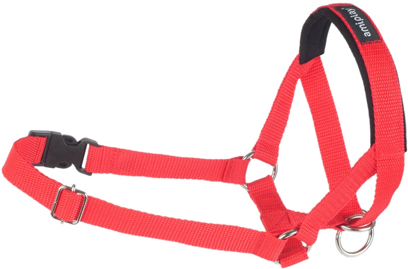 Antsnukis šunims Amiplay Basic, XS, raudona sp.