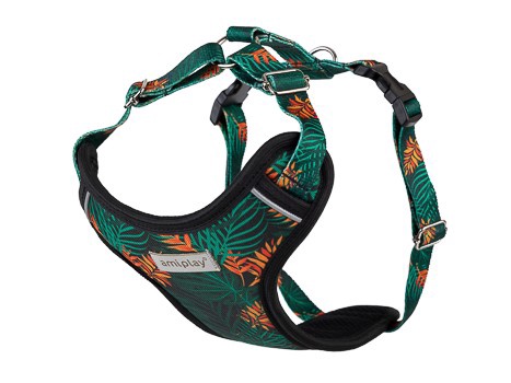 Petnešos šunims Amiplay Discovery BeHappy, oranžinė sp./žalia sp., 350 - 500 mm x 20 mm, M