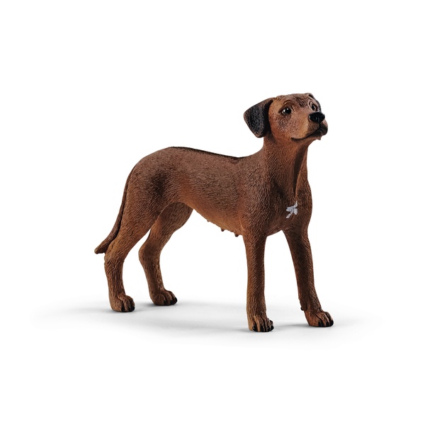 Žaislinė figūrėlė Schleich Farm World Rhodesian Ridgeback 13895, ruda sp.
