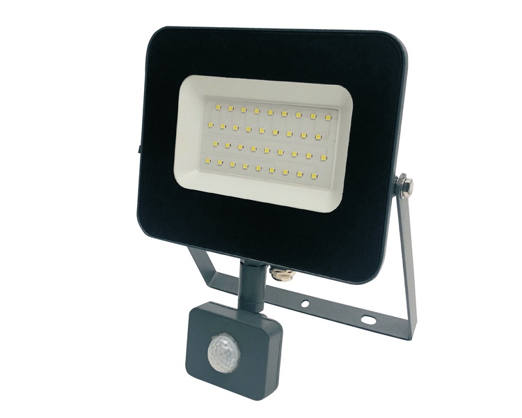 Prožektorius su judesio davikliu, tvirtinamas prie sienos Standart E024EI E024EIS, 30 W, 2550 lm, 4000 °K, IP65, pilka sp.