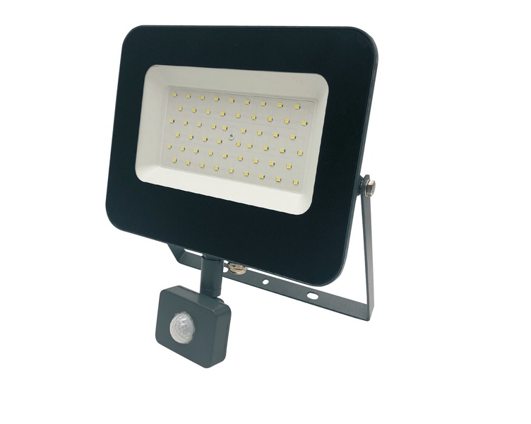 Prožektorius su judesio davikliu, tvirtinamas prie sienos Standart E024EI E024EIS, 50 W, 4250 lm, 4000 °K, IP65, pilka sp.