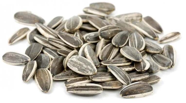 Saulėgrąžos 08206, universalus pašaras, 10 kg