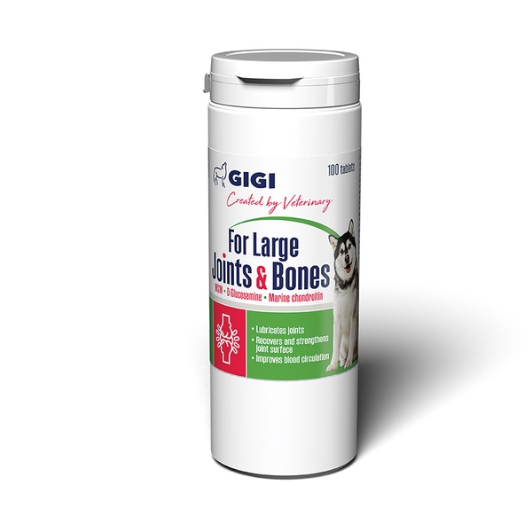 Maisto papildas šunims GiGi ActiVET N100