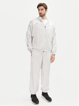 EA7 Emporio Armani Sportinis kostiumas · Pilka