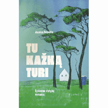 Tu kažką turi. Gyvenimo statybų romanas