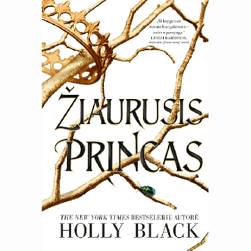Žiaurusis princas. Serijos „Žiaurusis princas“ pirma knyga