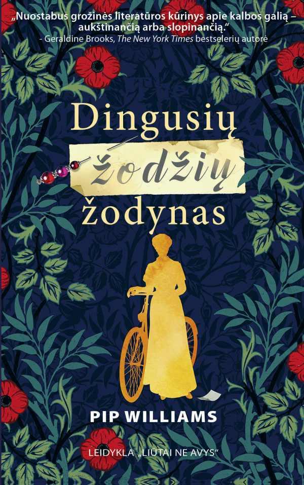 Dingusių žodžių žodynas