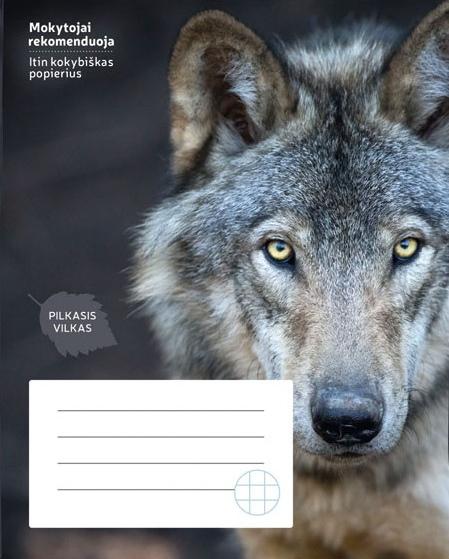 Sąsiuvinis VILKAS, 24 l., langeliais