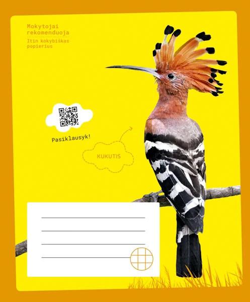 Sąsiuvinis KUKUTIS, 12 l., langeliais