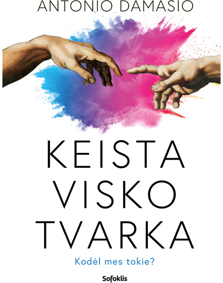 Keista visko tvarka