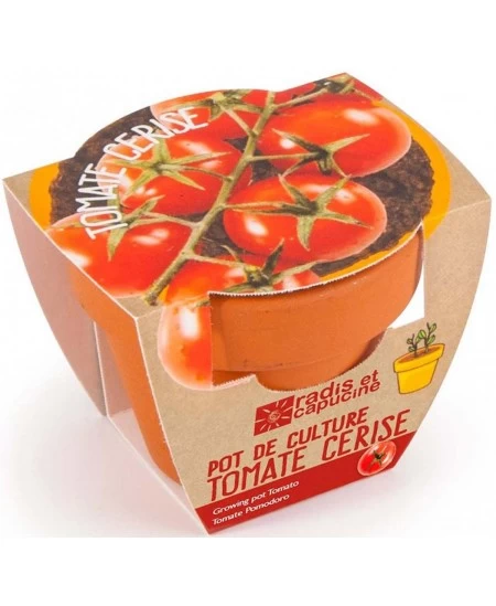 Auginimo rinkinys vaikams RADIS et CAPUCINE Vyšniniai pomidorai