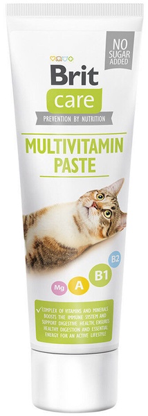 Skanėstas katėms Brit Care, 0.1 kg