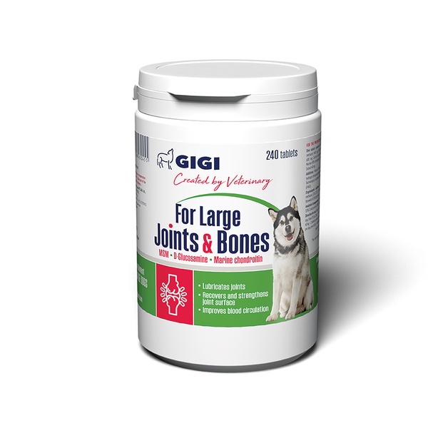 Maisto papildas šunims GiGi ActiVet 20, 0.24 kg