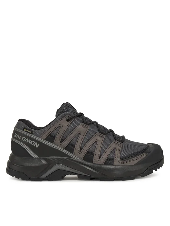 Salomon Turistiniai batai Salomon X-Adventure Recon Gore Tex L47809200 Pilka