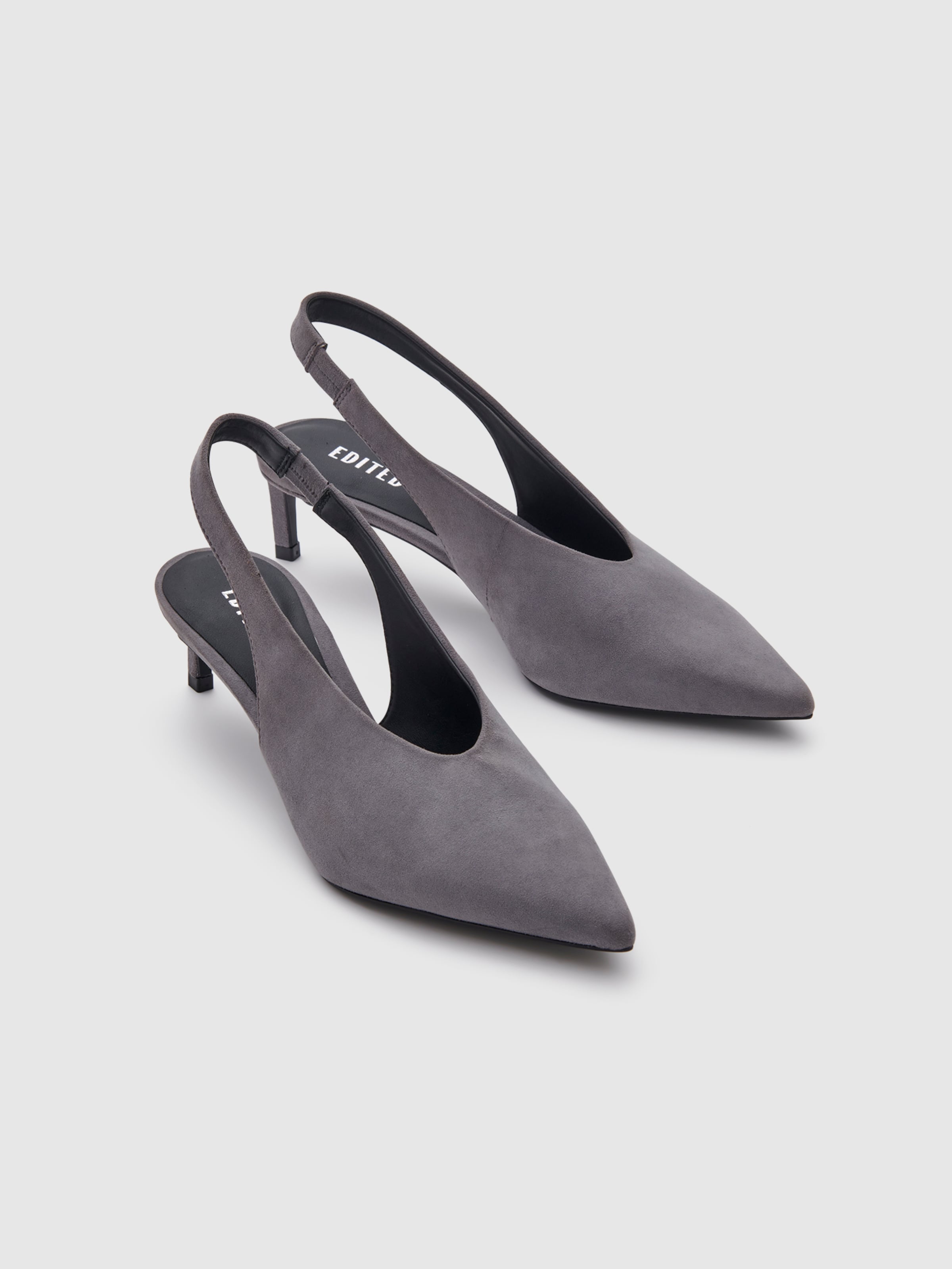 EDITED Basutės 'Tessa'