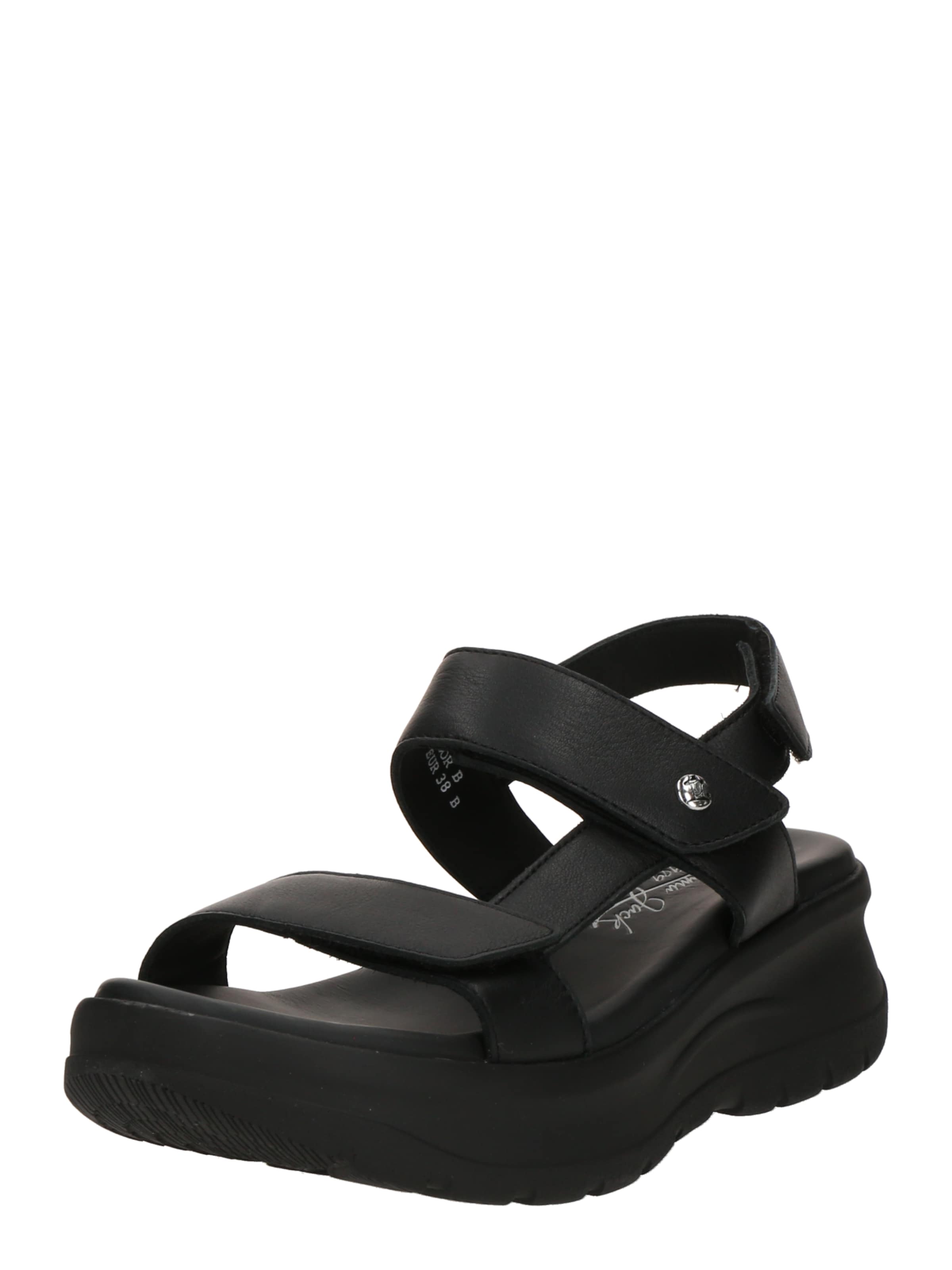 PANAMA JACK Basutės su dirželiais 'Noor B1'