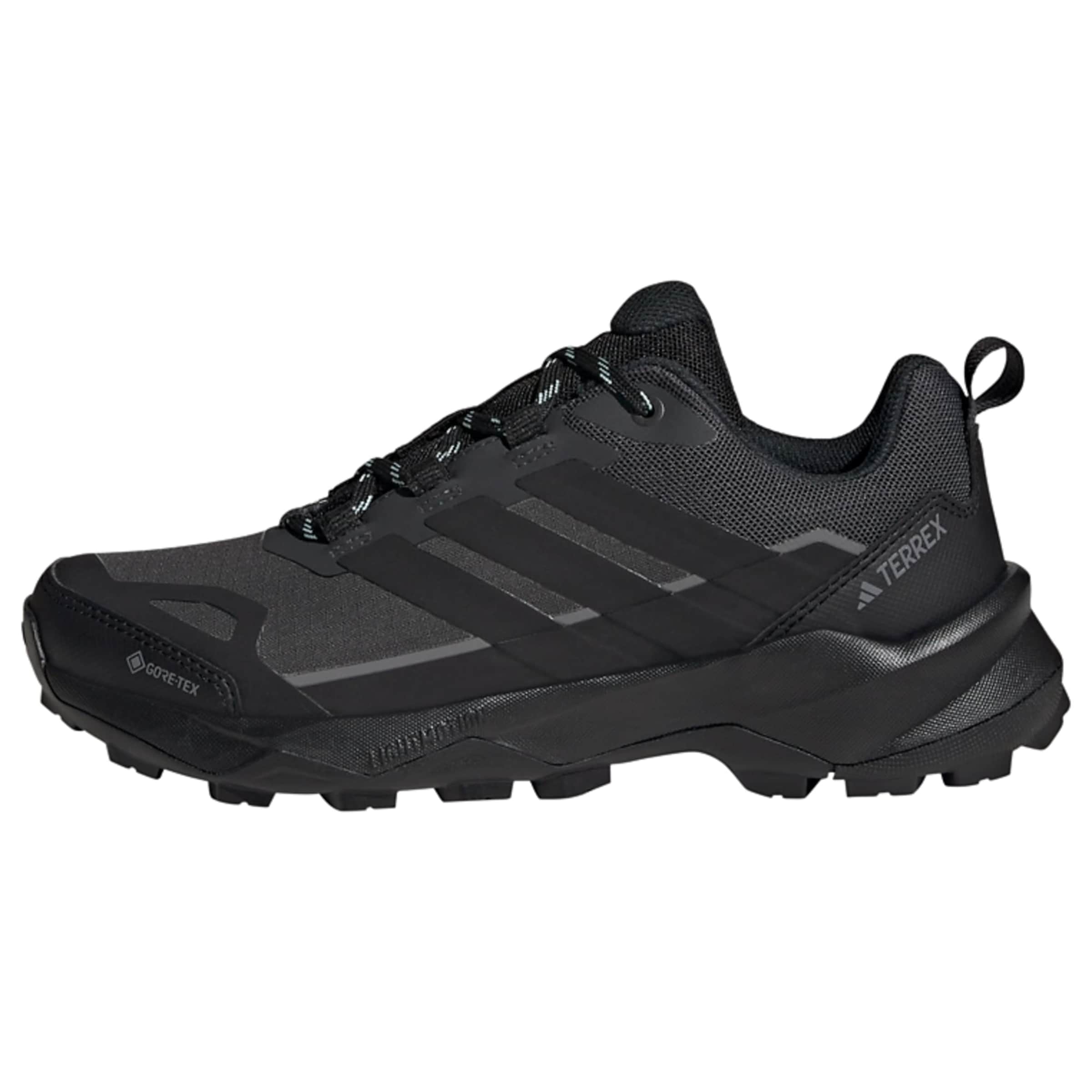 ADIDAS TERREX Pusbačiai 'Skychaser AX5'