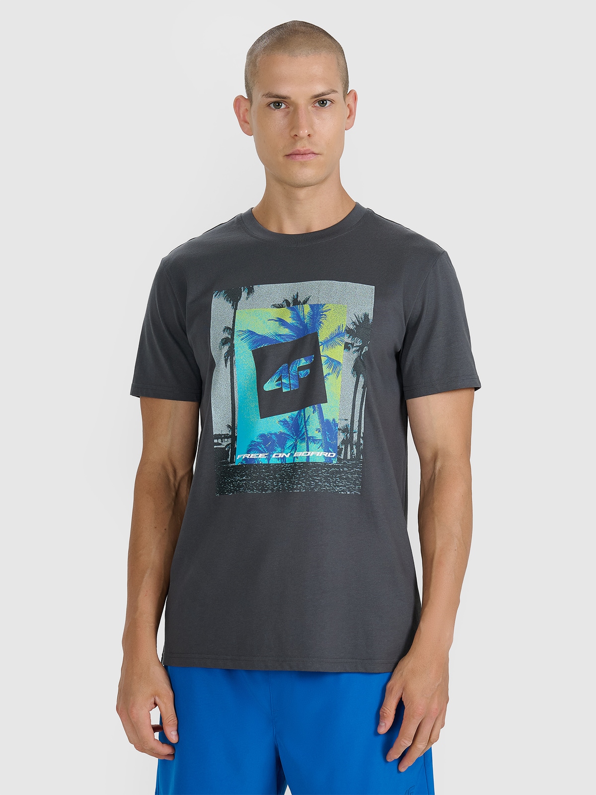 Vyriški T-shirt regular marškinėliai su spauda - pilki