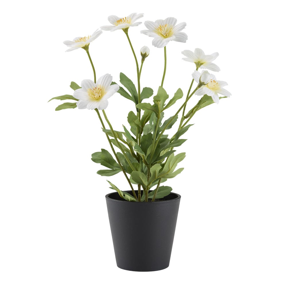 Dirbtinis augalas EINERT