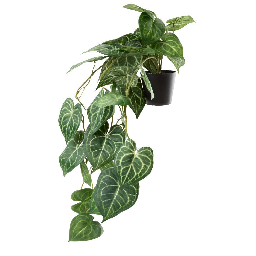 Dirbtinis augalas KNOPPSVANE