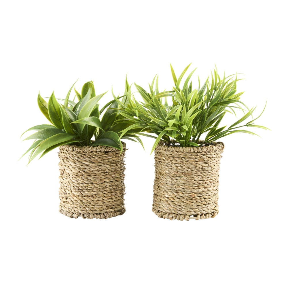 Dirbtinis augalas BERTRAM