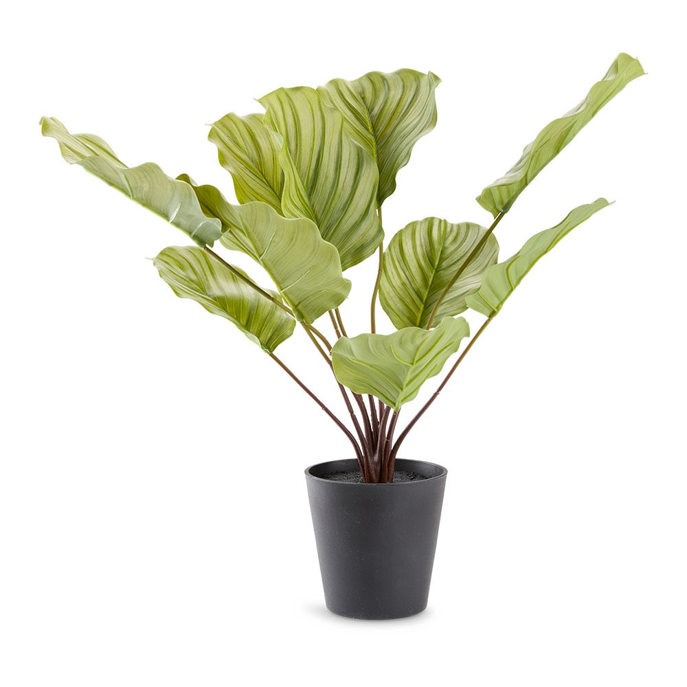 Dirbtinis augalas ROLF