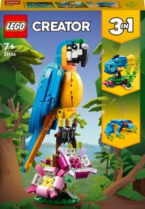 Konstruktorius LEGO Creator 3in1 Egzotiška papūga 31136, 253 vnt.