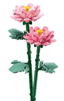 Konstruktorius Sluban Flowers peonies M38-B1101-05, 224 vnt.