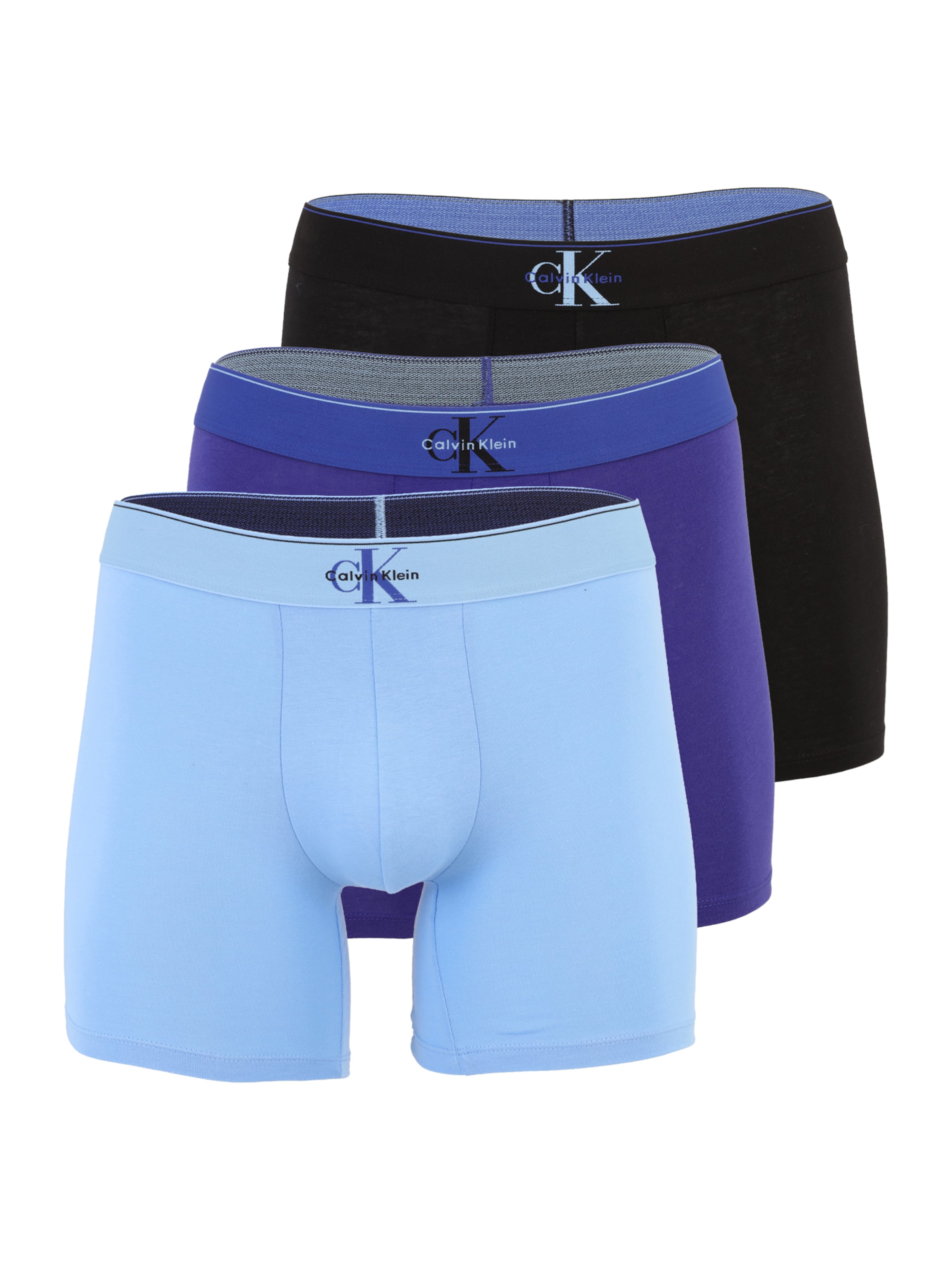 CALVIN KLEIN UNDERWEAR Boxer trumpikės