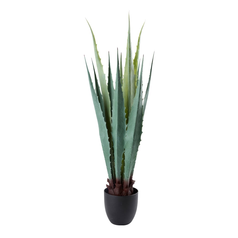 Dirbtinis augalas TOPPMEIS