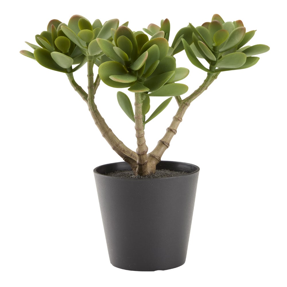 Dirbtinis augalas JOSTEIN
