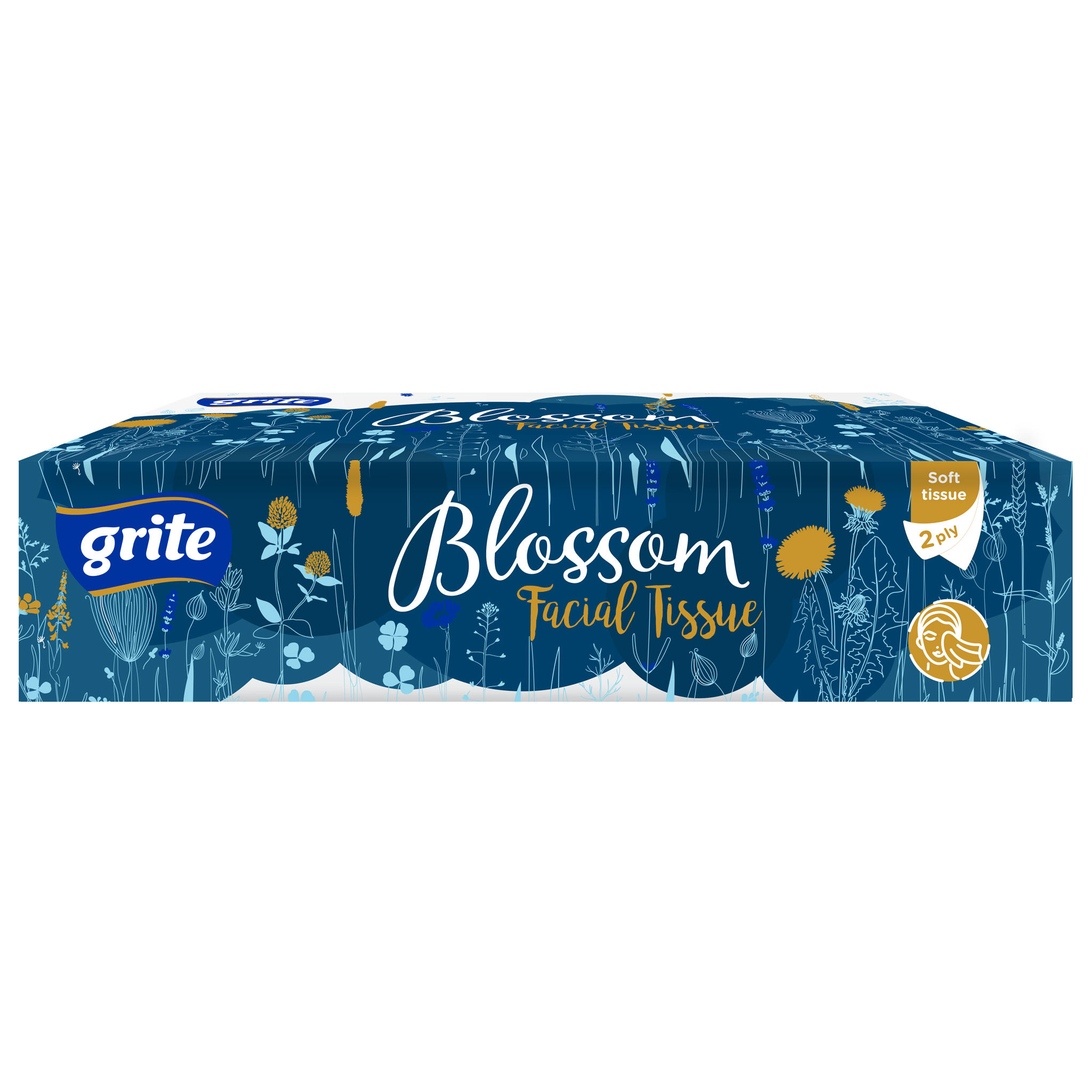 Kosmetinės servetėlės GRITE BLOSSOM (2 sluoksnių), 80 vnt.