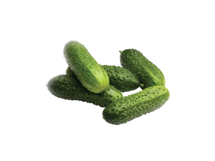 Lietuviški trumpavaisiai agurkai