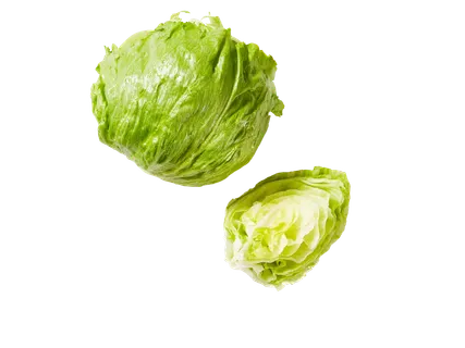 Gūžinė salota „Iceberg“