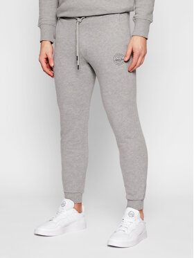 Jack & Jones Sportinės kelnės · Pilka · Regular Fit