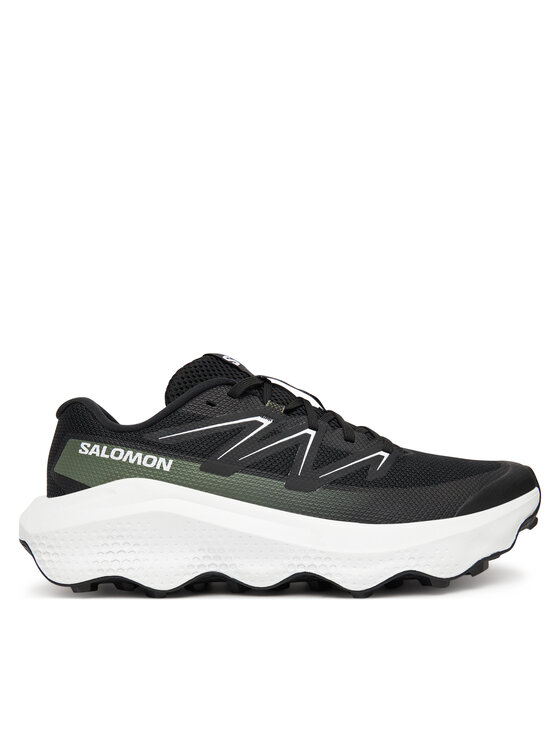 Salomon Ultra Flow 2 L47883500 · Bėgimo batai