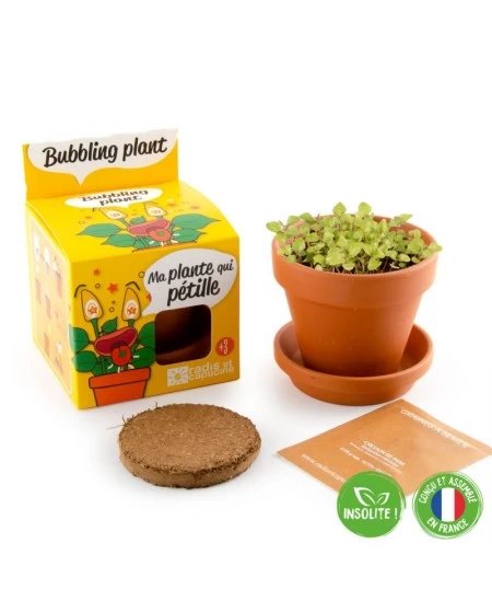 Burbulinio augalo auginimo rinkinys RADIS et CAPUCINE