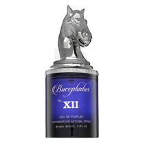 Kvapusis vanduo Armaf Bucephalus XII Blue, 100 ml